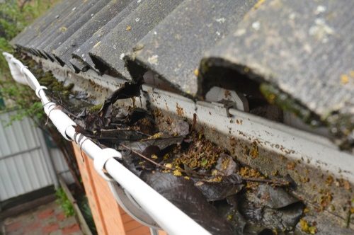 Ereszcsatorna tisztítás